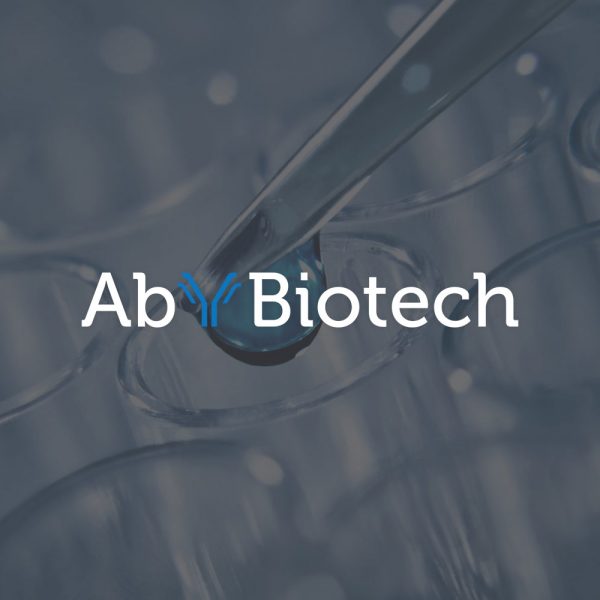 AbyBiotech Website & Logo
