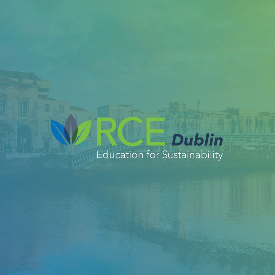 RCE Dublin Website