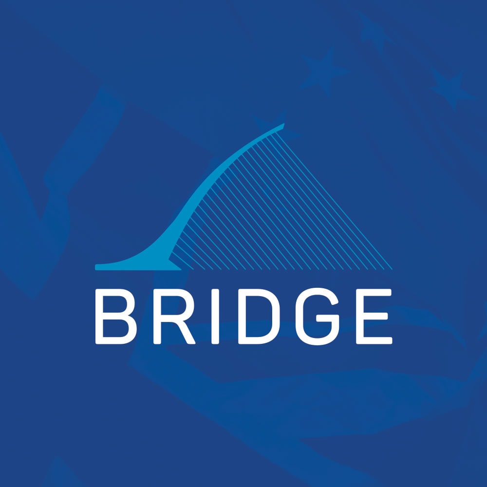 BRIDGE Network Website & Logo